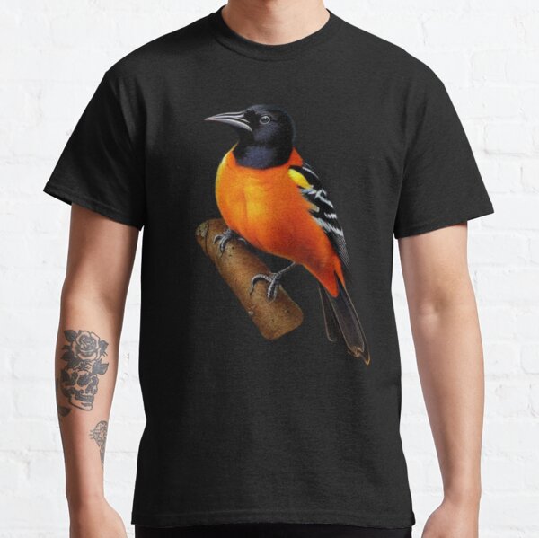  Vintage Oriole bird common in Baltimore Maryland Premium T-Shirt  : Sports & Outdoors