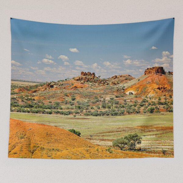 Aperçu de l'œuvre Outback Queensland créée et vendue par Lindy Sherwell.