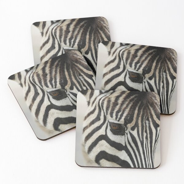 Item preview, Zebra Melbourne zoo designed and sold by AndyFayeImagery.