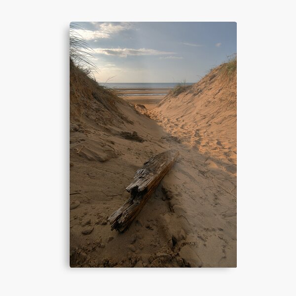 FORMBY SAND DUNES Metal Print