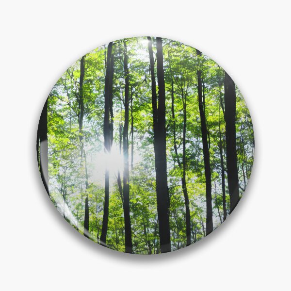 Item preview, Forest in bright Sunshine  designed and sold by David-Howells.