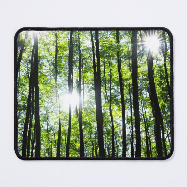 Item preview, Forest in bright Sunshine designed and sold by David-Howells.