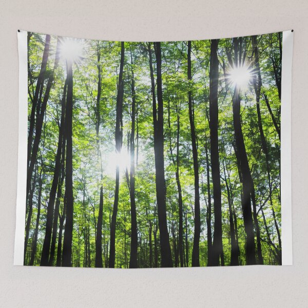 Item preview, Forest in bright Sunshine  designed and sold by David-Howells.