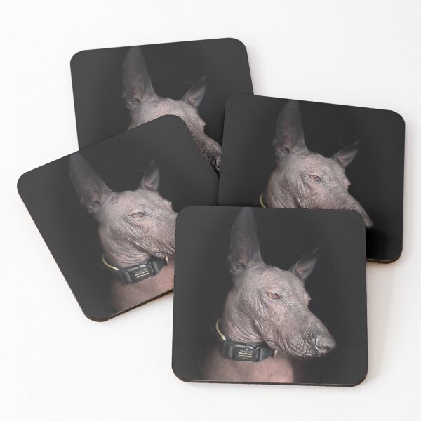 Item preview, Xoloitzcuintle  designed and sold by Xolo-Rescue.