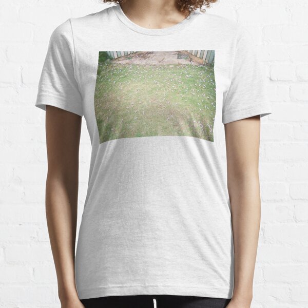 Warwick jacaranda flowers 35mm film photography Essential T-Shirt
