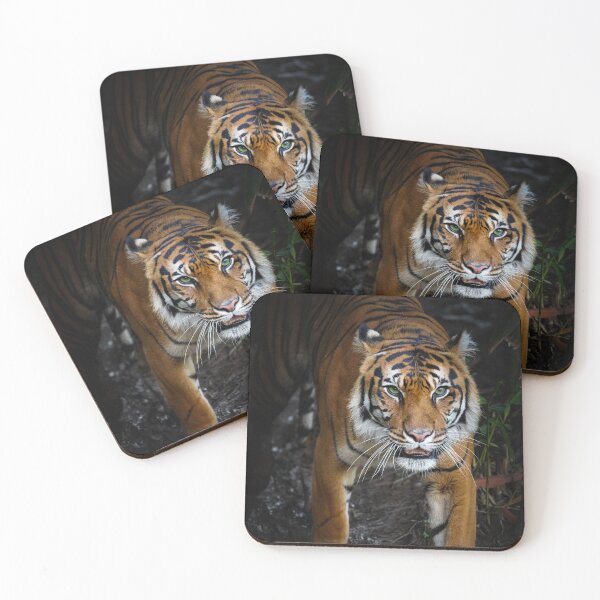 Item preview, Sumatran Tiger designed and sold by AndyFayeImagery.
