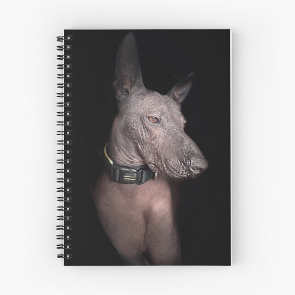 Item preview, Xoloitzcuintle  designed and sold by Xolo-Rescue.