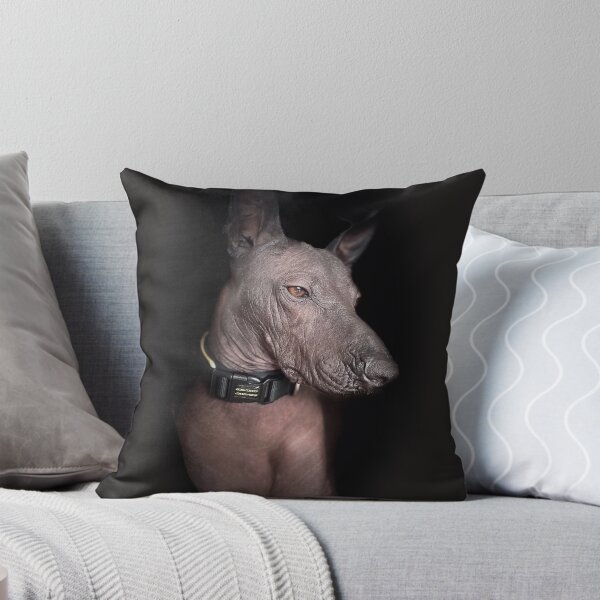 Item preview, Xoloitzcuintle  designed and sold by Xolo-Rescue.