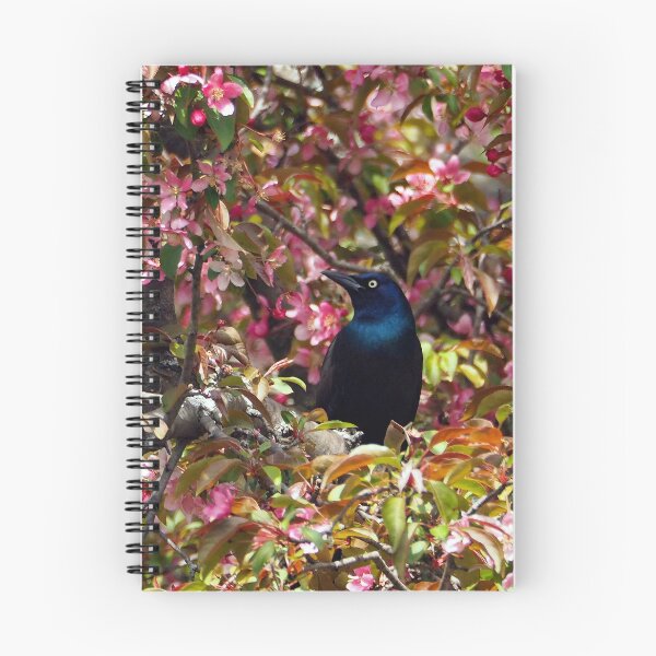 Item preview, Blackbird 818 designed and sold by Strawflower Oasis.