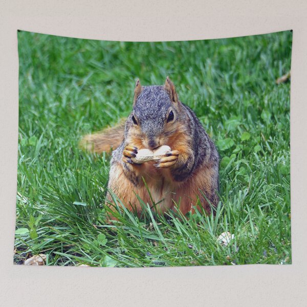 Item preview, Squirrel with a peanut 67 designed and sold by Strawflower Oasis.