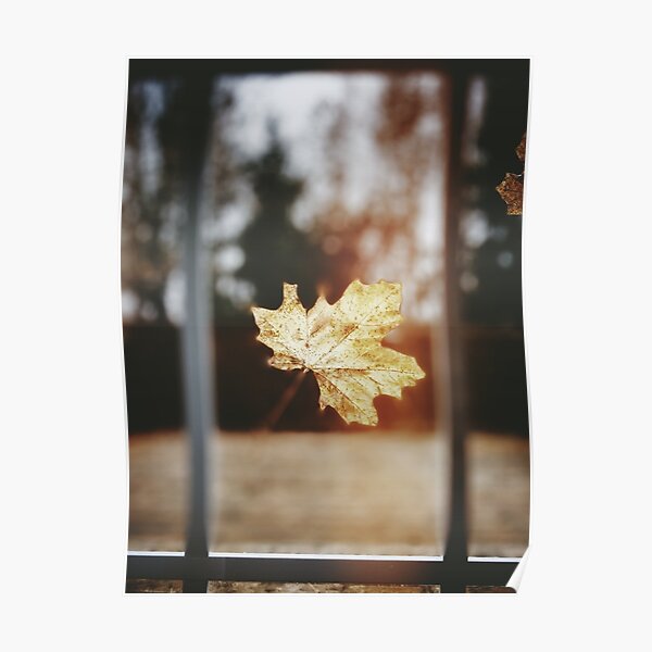 Goodbye Autumn Poster