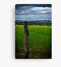 Wheatbelt Canvas Print