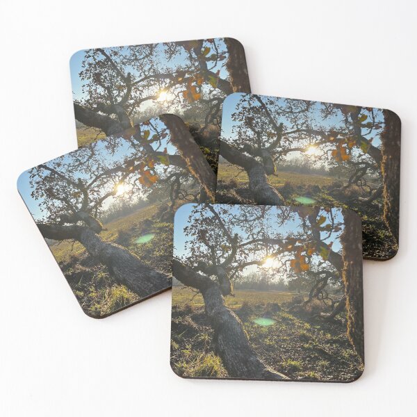 Item preview, Mount Pisgah designed and sold by Beau Gordon.
