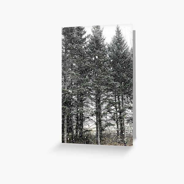 First Snowfall Greeting Card