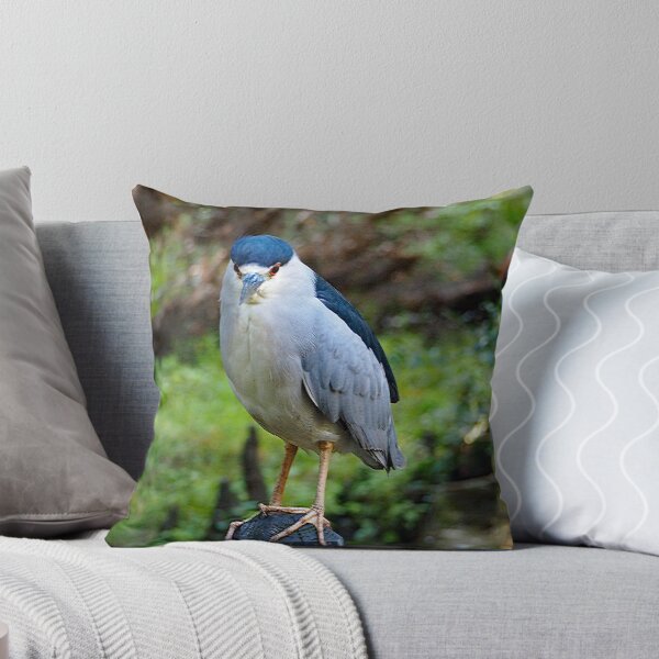 Item preview, Black Crowned Night Heron 277 designed and sold by Strawflower Oasis.