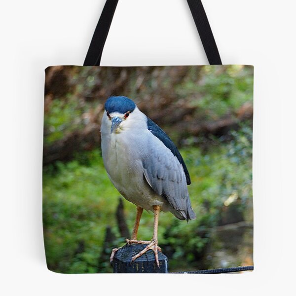 Item preview, Black Crowned Night Heron 277 designed and sold by Strawflower Oasis.
