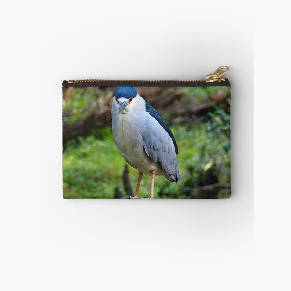 Item preview, Black Crowned Night Heron 277 designed and sold by Strawflower Oasis.