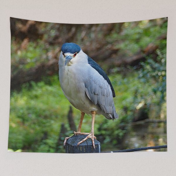 Item preview, Black Crowned Night Heron 277 designed and sold by Strawflower Oasis.