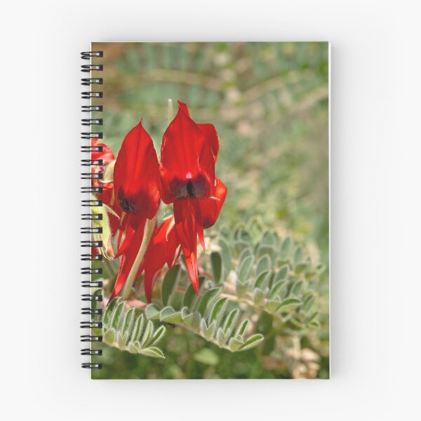 Item preview, Sturt Desert Pea designed and sold by Lindy Sherwell.