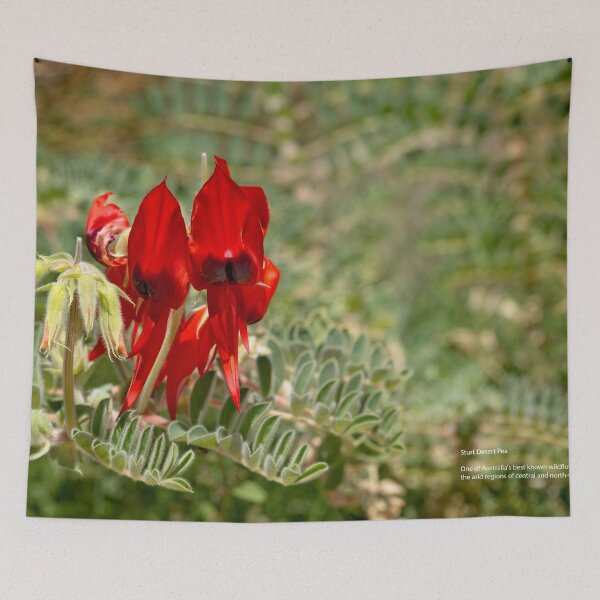 Item preview, Sturt Desert Pea designed and sold by Lindy Sherwell.