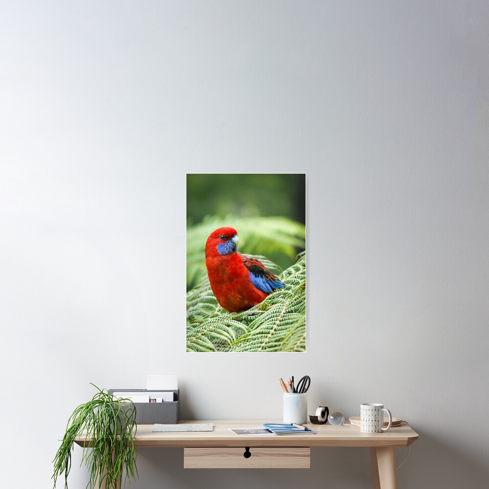 Item preview, Poster designed and sold by barrycallister.