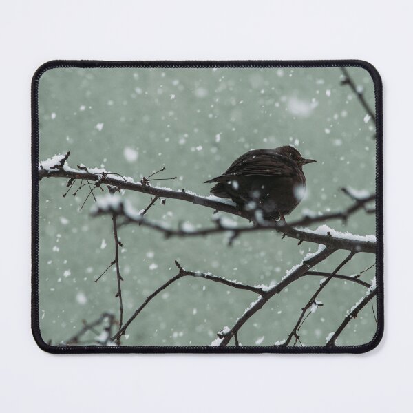 Item preview, Falling snow on bird designed and sold by SwakiiShop.
