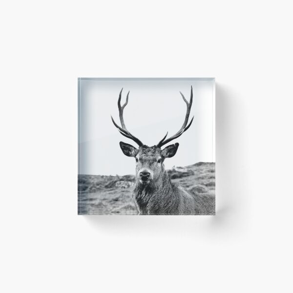 Item preview, European Red Stag - b/w designed and sold by Leeanne Mackay.