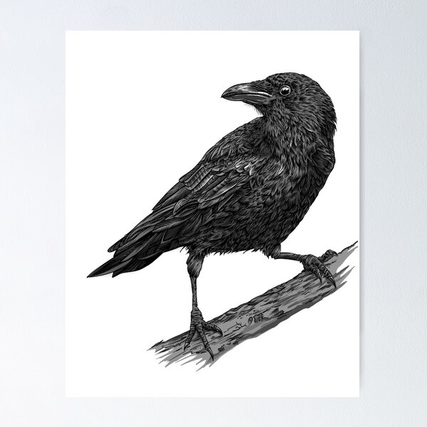 Item preview, Crow designed and sold by Petersnook.