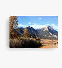 Jasper Metal Print