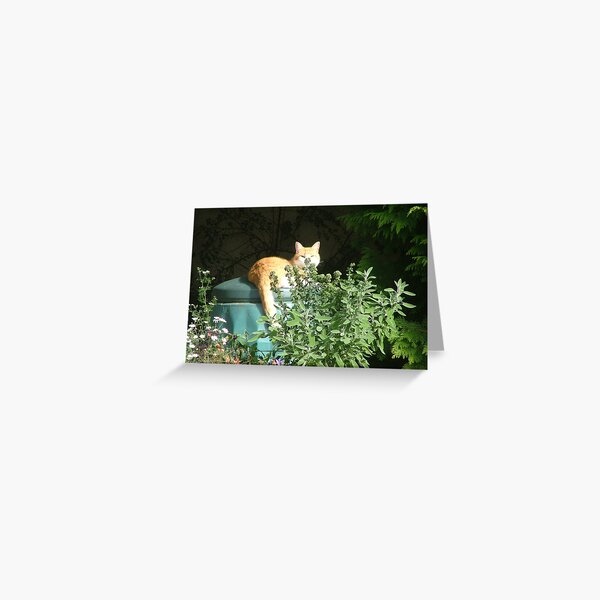 Composted cat Greeting Card