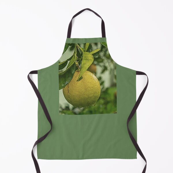 Item preview, *Orange* designed and sold by Berezabella.