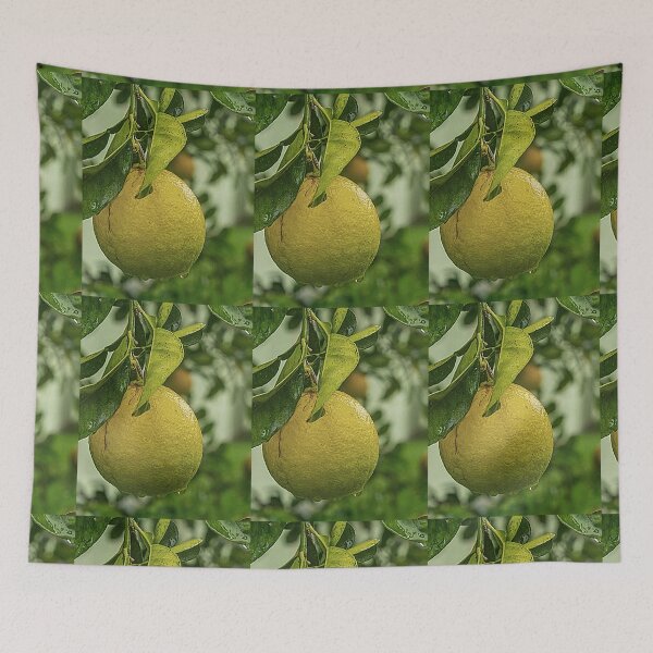 Item preview, *Orange* designed and sold by Berezabella.