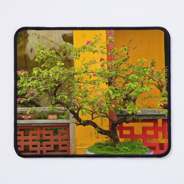 Item preview, Plant in Hainan Assembly Hall Garden designed and sold by jojobob.