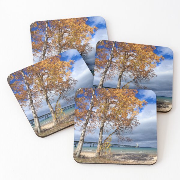 Item preview, Autumn birch trees at the Mackinac Bridge, Michilimackinac State Park, Michigan designed and sold by Daniel Arthur Brown Photography.