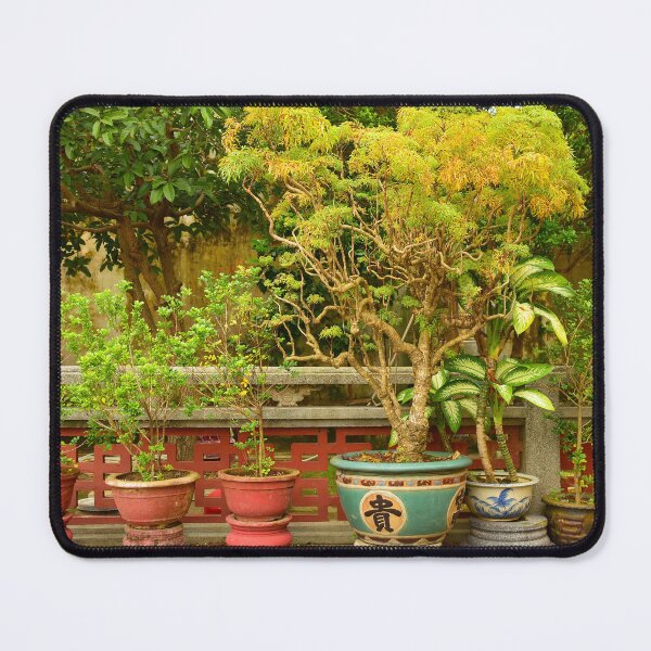 Item preview, Plants in Hainan Assembly Hall Garden designed and sold by jojobob.