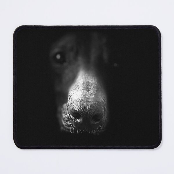 Item preview, Help a dog of the dark designed and sold by Xolo-Rescue.