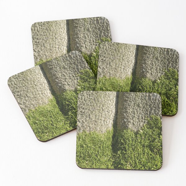 Item preview, Tree bark with moss designed and sold by AdioraStore.