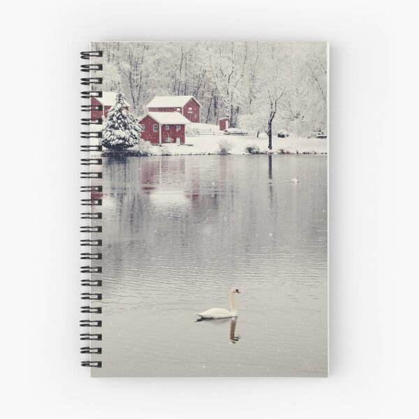 Item preview, Swan Lake designed and sold by prettypetal.