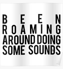 Been Roaming Around Doing Some Sounds Poster