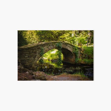 Item preview, Historical bridge in the forest - Cragside designed and sold by chiaravisuals.
