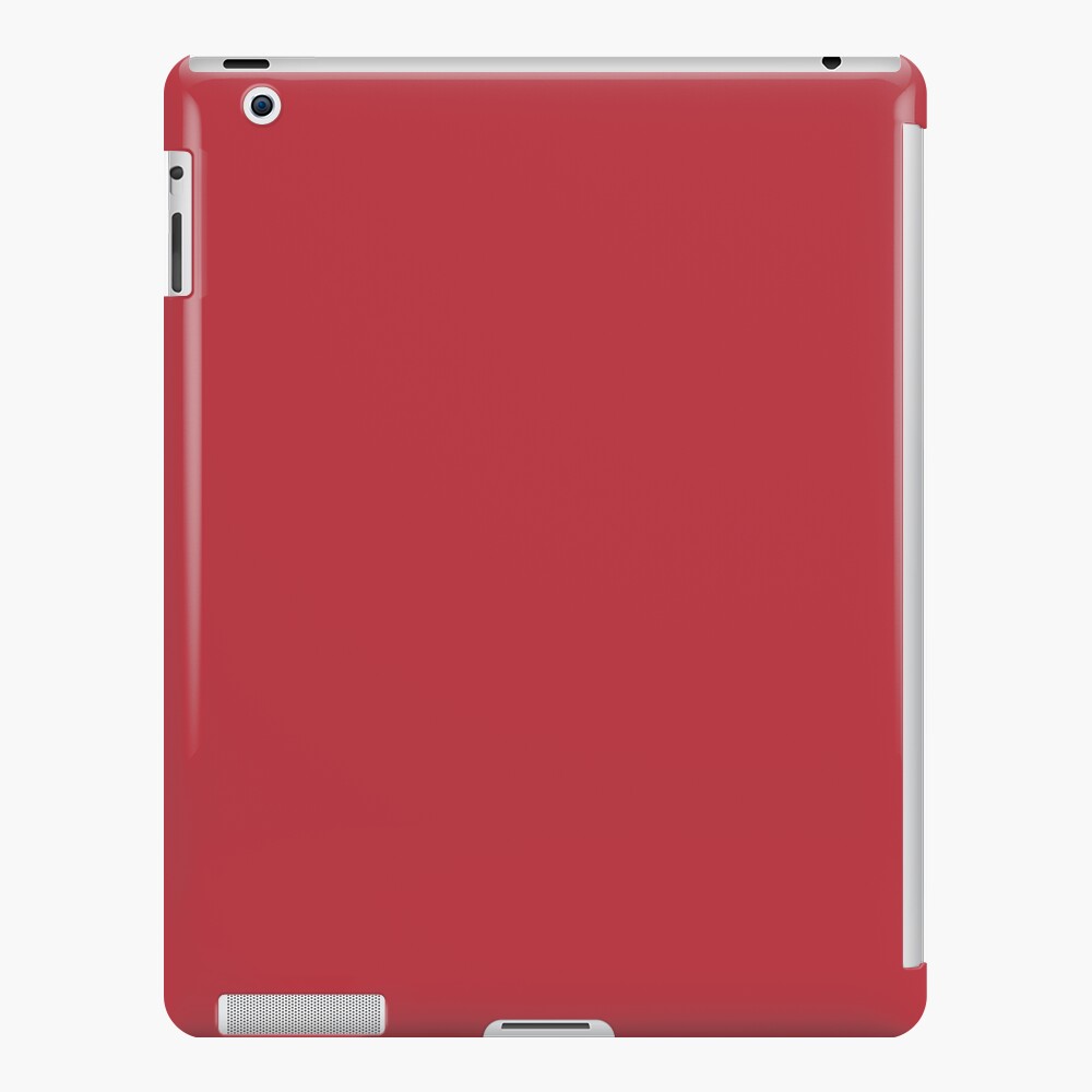 goji ipad case