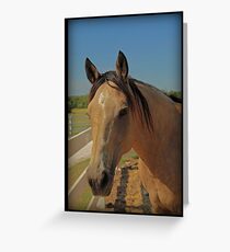 Charmer Greeting Card