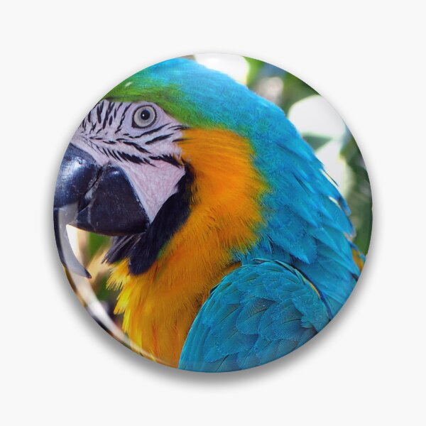 Item preview, Macaw Parrot Yellow And Blue Bird designed and sold by AndyEvansPhotos.