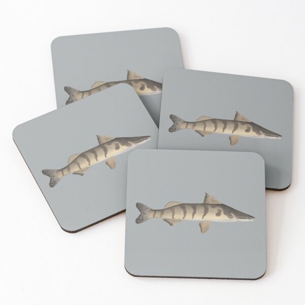 Item preview, Zebra Catfish designed and sold by fishfolkart.