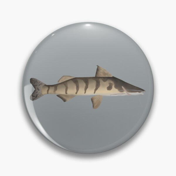 Item preview, Zebra Catfish designed and sold by fishfolkart.