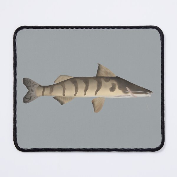 Item preview, Zebra Catfish designed and sold by fishfolkart.