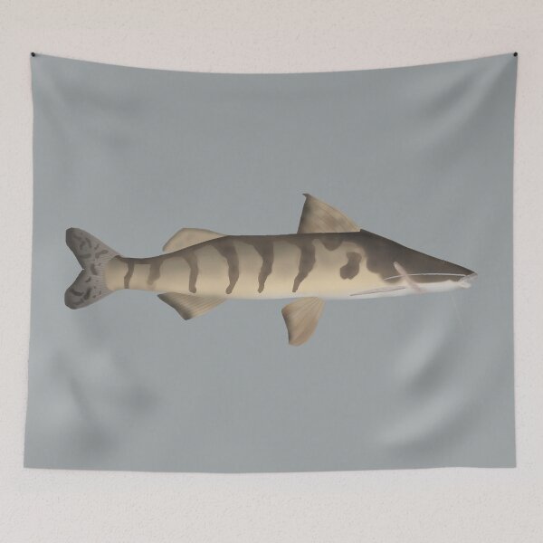 Item preview, Zebra Catfish designed and sold by fishfolkart.