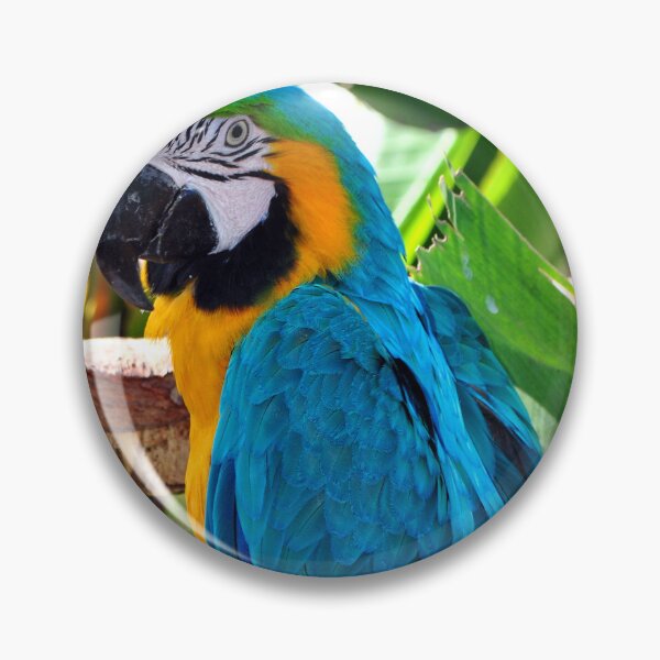 Item preview, Macaw Parrot Yellow And Blue Bird designed and sold by AndyEvansPhotos.