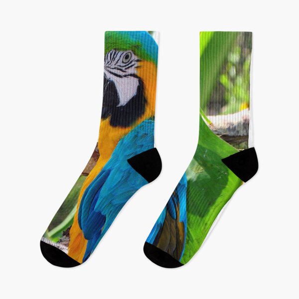 Item preview, Macaw Parrot Yellow And Blue Bird designed and sold by AndyEvansPhotos.