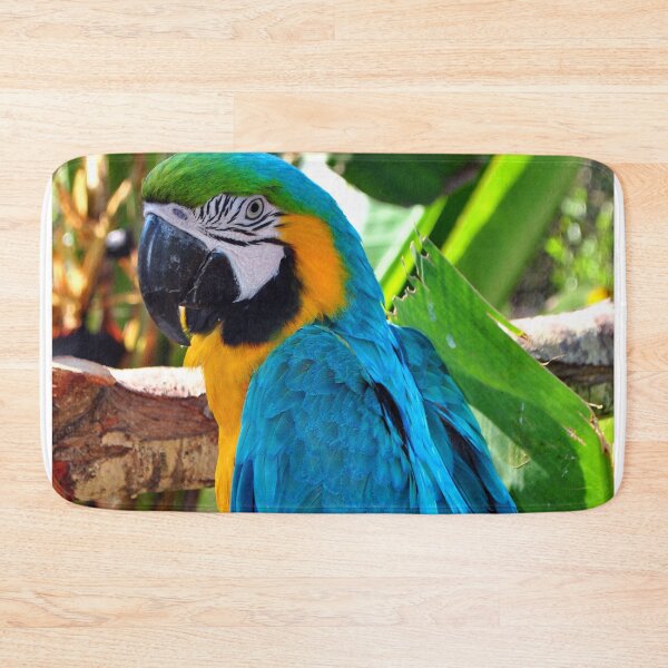 Item preview, Macaw Parrot Yellow And Blue Bird designed and sold by AndyEvansPhotos.